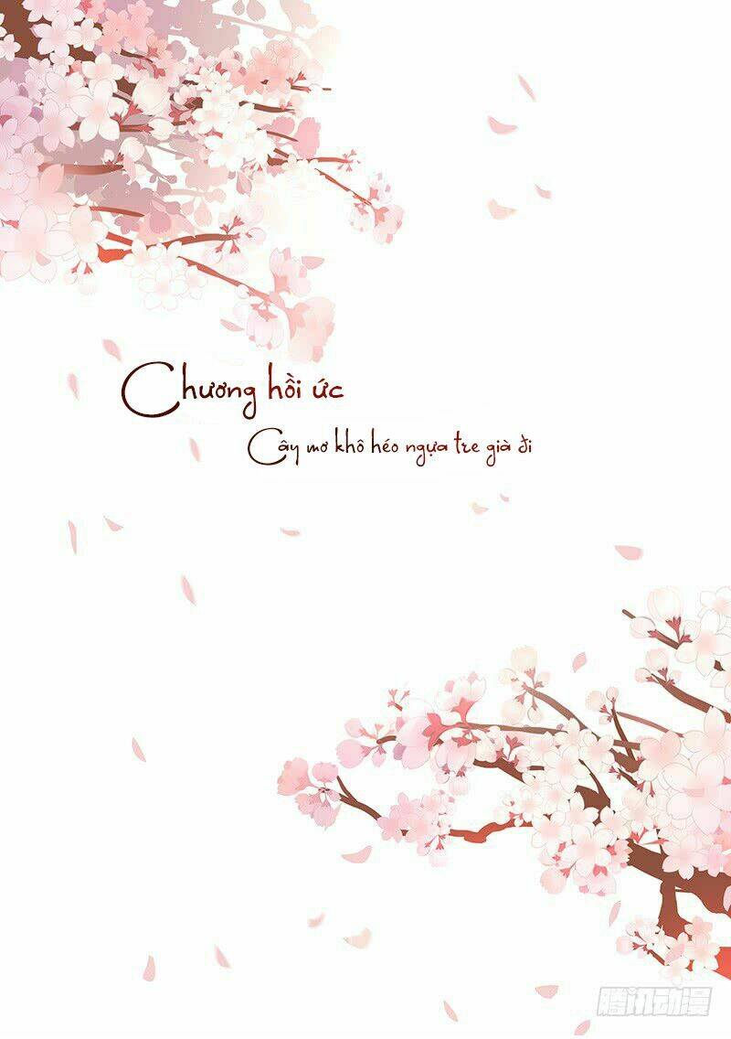 Vương Bài Giáo Thảo: Chapter 228