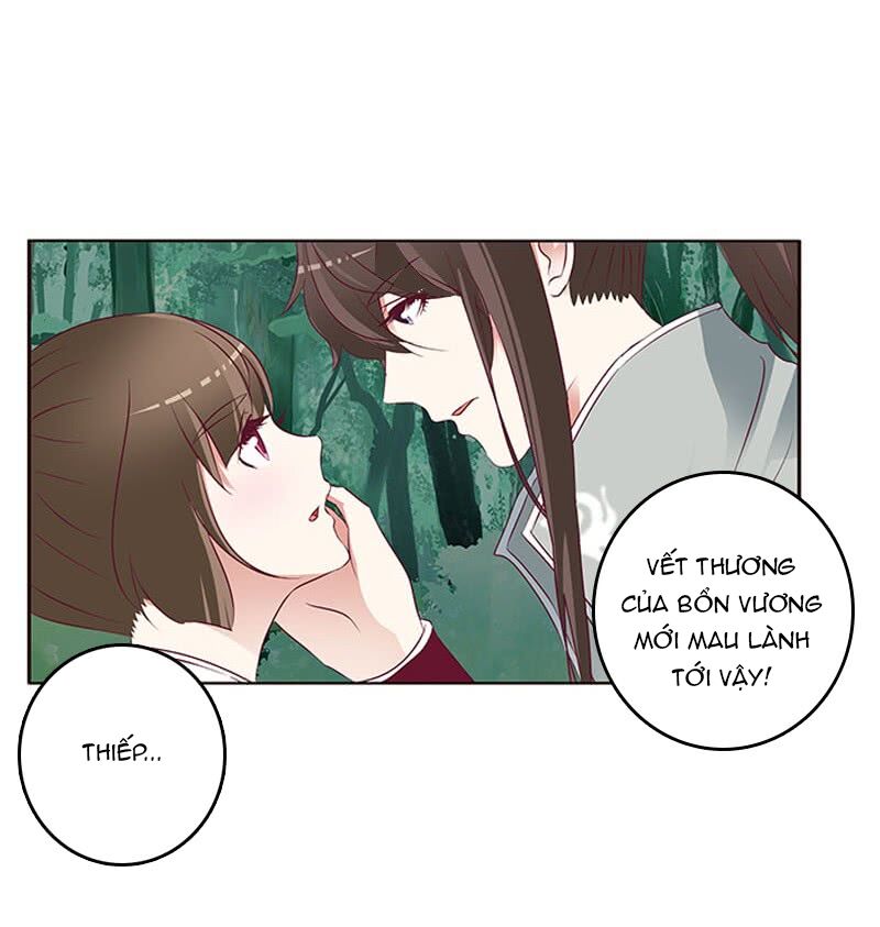 Thông Linh Phi: Chapter 311