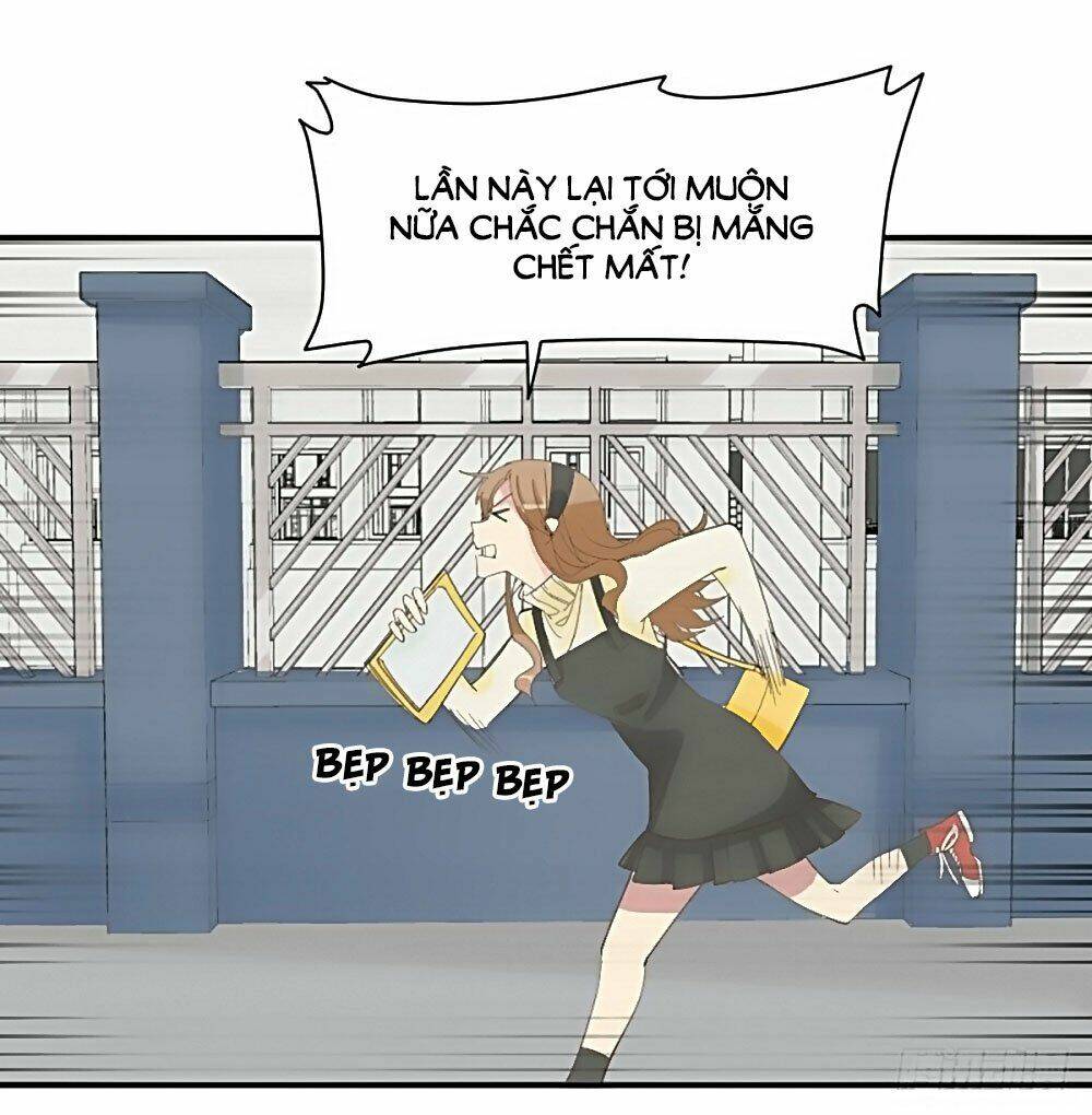 Nguyệt Lão Không Cho Phép Tôi Yêu Đương: Chapter 5