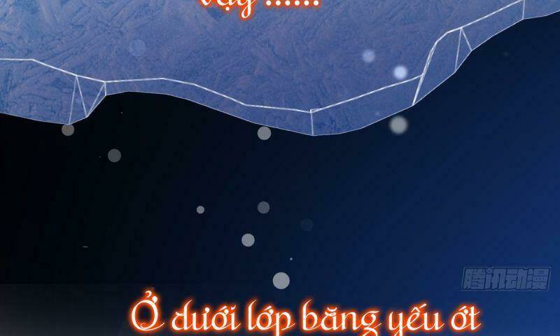 Không Thể Hòan Hảo Tuyệt Đối: Chapter 5