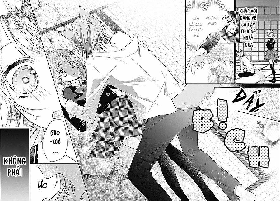 Ma Cà Rồng Và Thiếu Nữ Hoa Hồng: Chapter 9