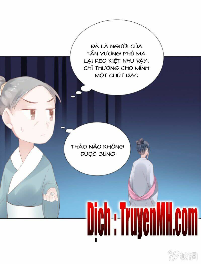 Solo Đi Vương Gia: Chapter 49