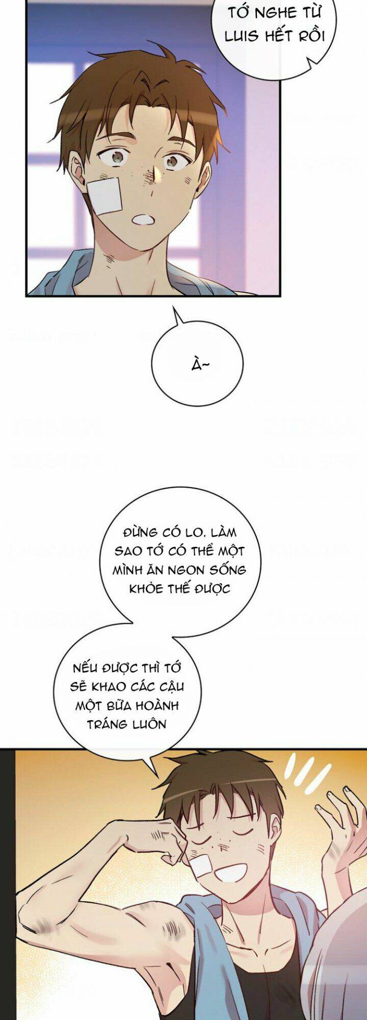 Kỵ Sĩ Đỏ Không Mê Tiền Mù Quáng: Chapter 33