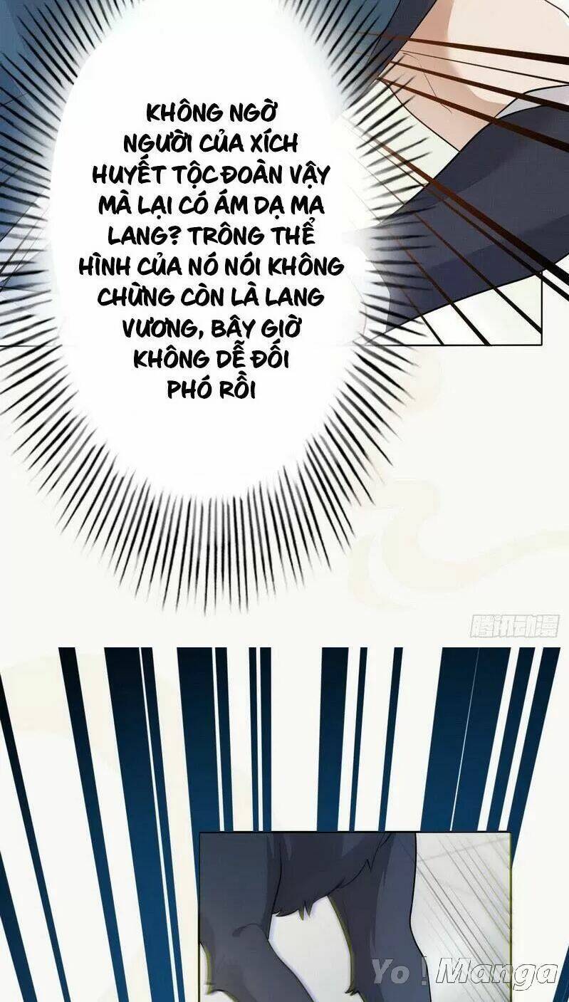 Tuyệt Thế Luyện Đan Sư: Chapter 153