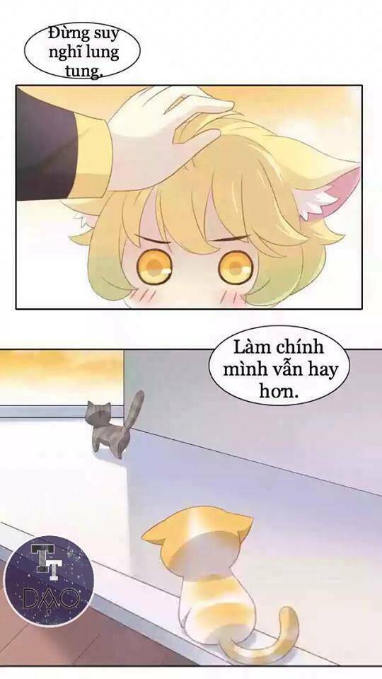 Dưới Móng Vuốt Mèo: Chapter 11