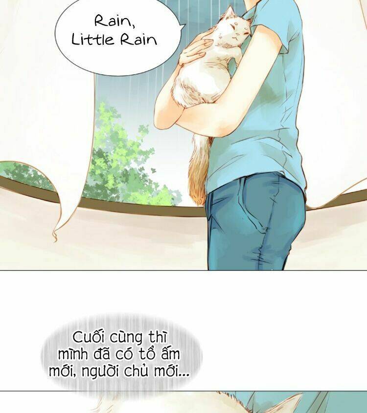 Little Rain: Chapter 1