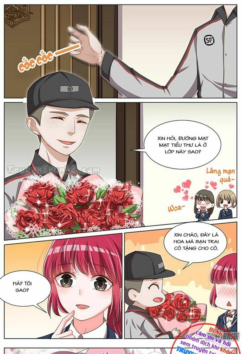 Vương Bài Giáo Thảo: Chapter 95