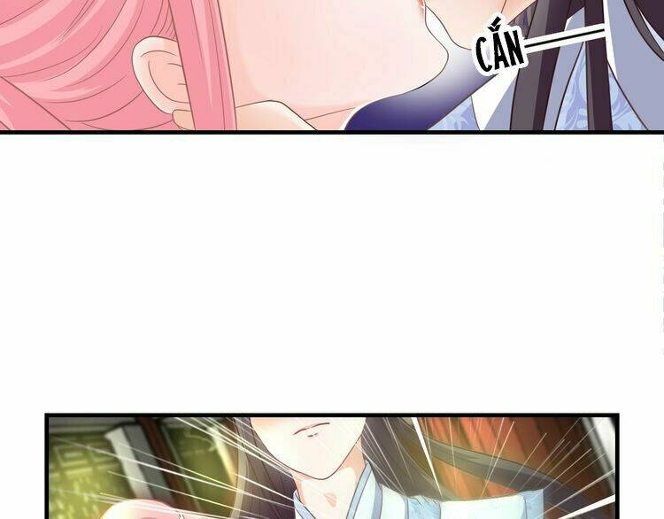 Báo Cáo Vương Gia, Vương Phi Là Một Con Mèo: Chapter 3