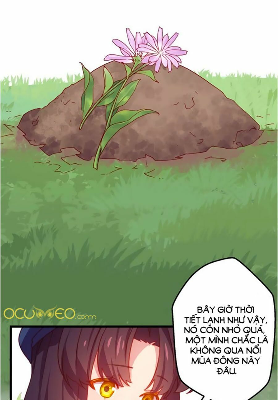 Bài Ca Tình Yêu: Chapter 10