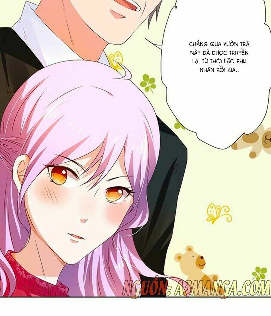 Bạn Trai Là Ngôi Sao: Chapter 73