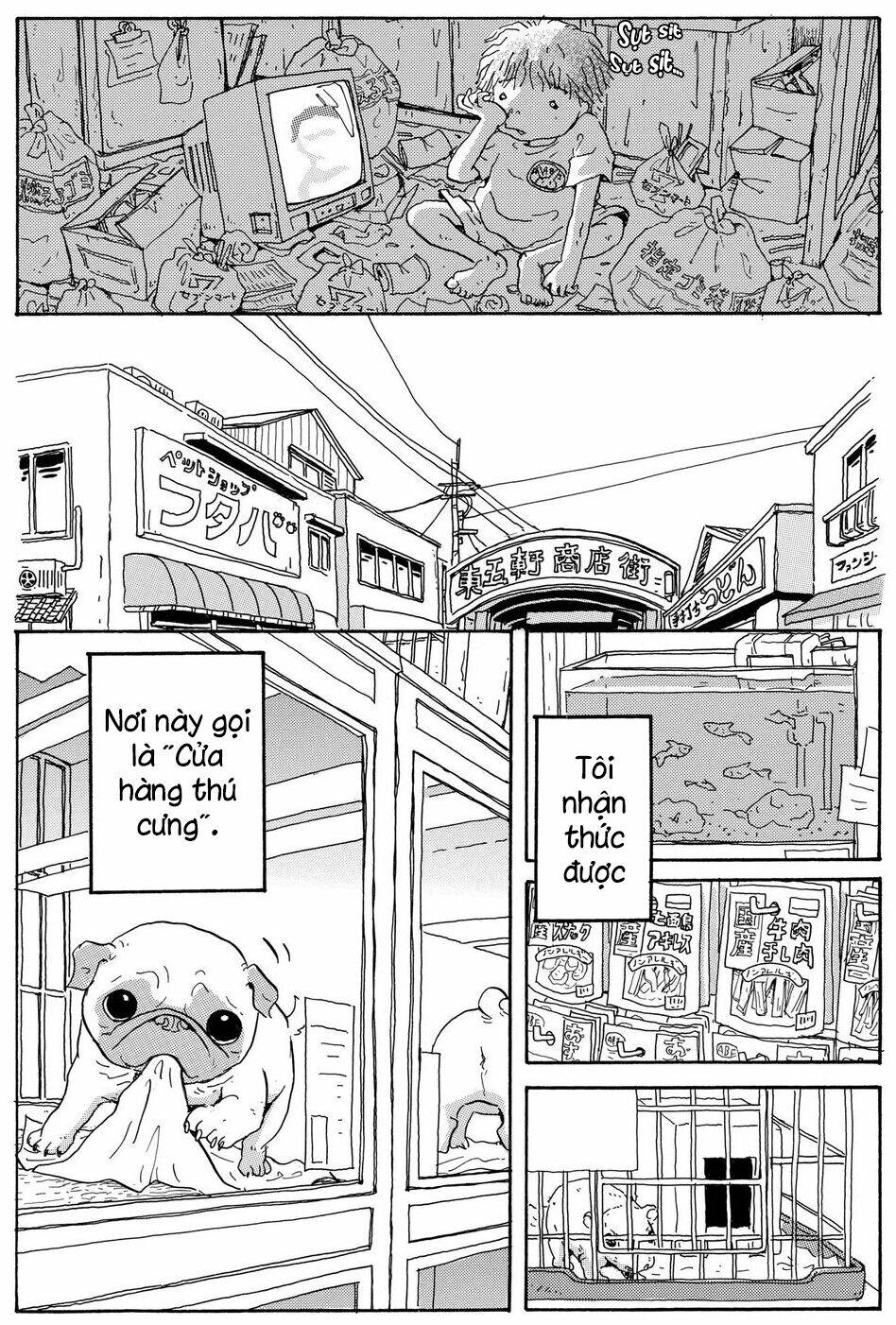 Hoshi Mamoru Inu: Chapter 9