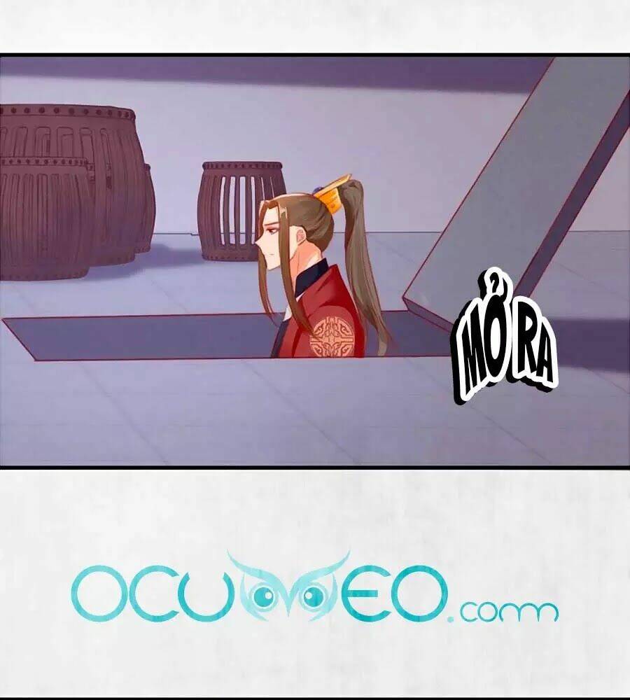 Hoạn Phi Hoàn Triều: Chapter 88