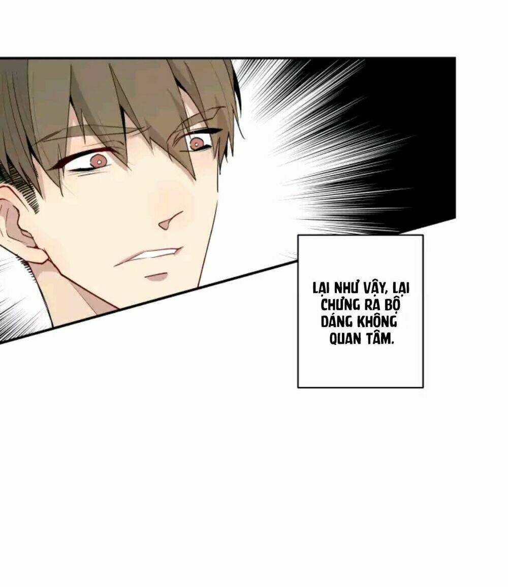 Tâm Chi Kiển: Chapter 3