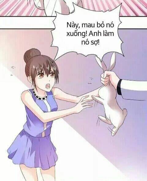 1 Nửa Hoàn Hảo Của Ceo: Chapter 21