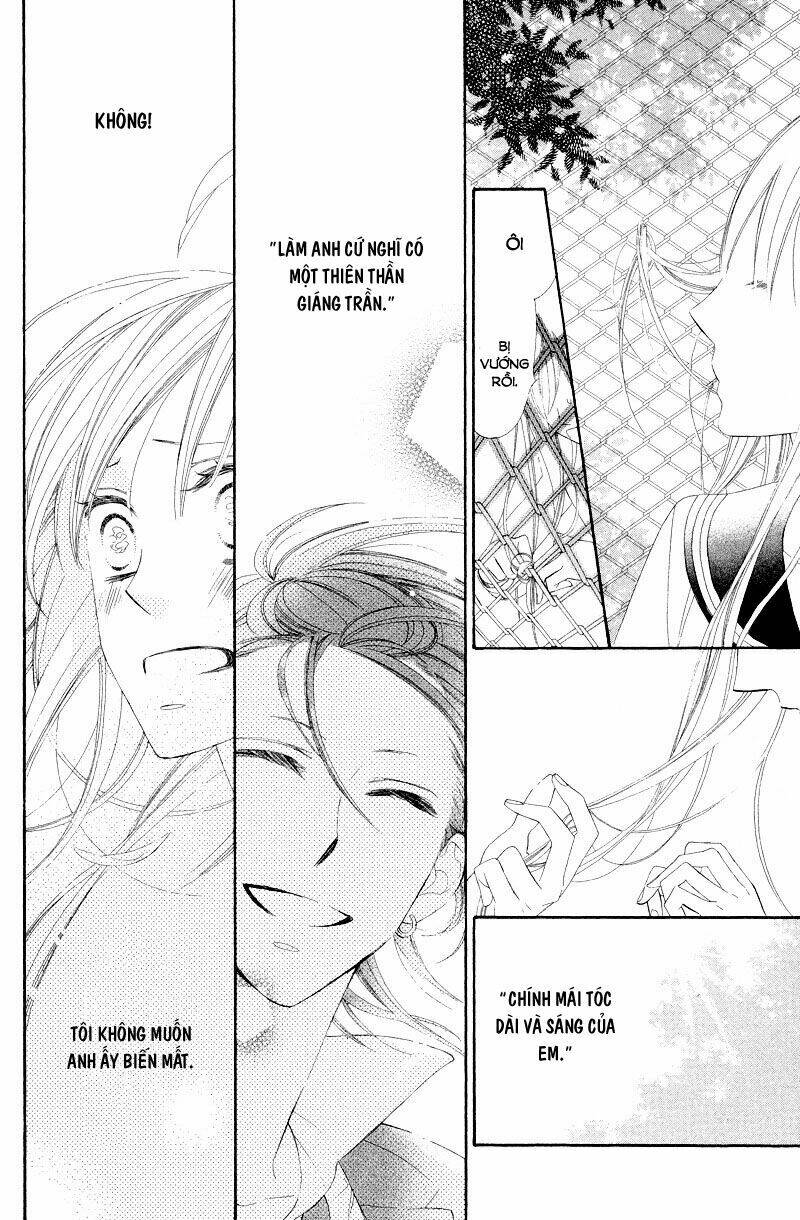 Hoa Trong Bão: Chapter 8