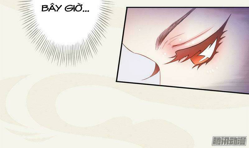 Tuyệt Thế Luyện Đan Sư: Chapter 5