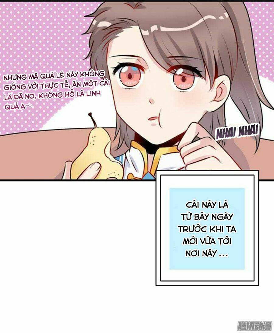 Sư Huynh! Xin Hãy Làm Theo Kịch Bản!: Chapter 6