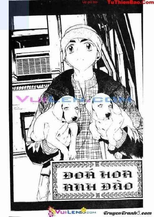 Đóa Hoa Anh Đào: Chapter 7