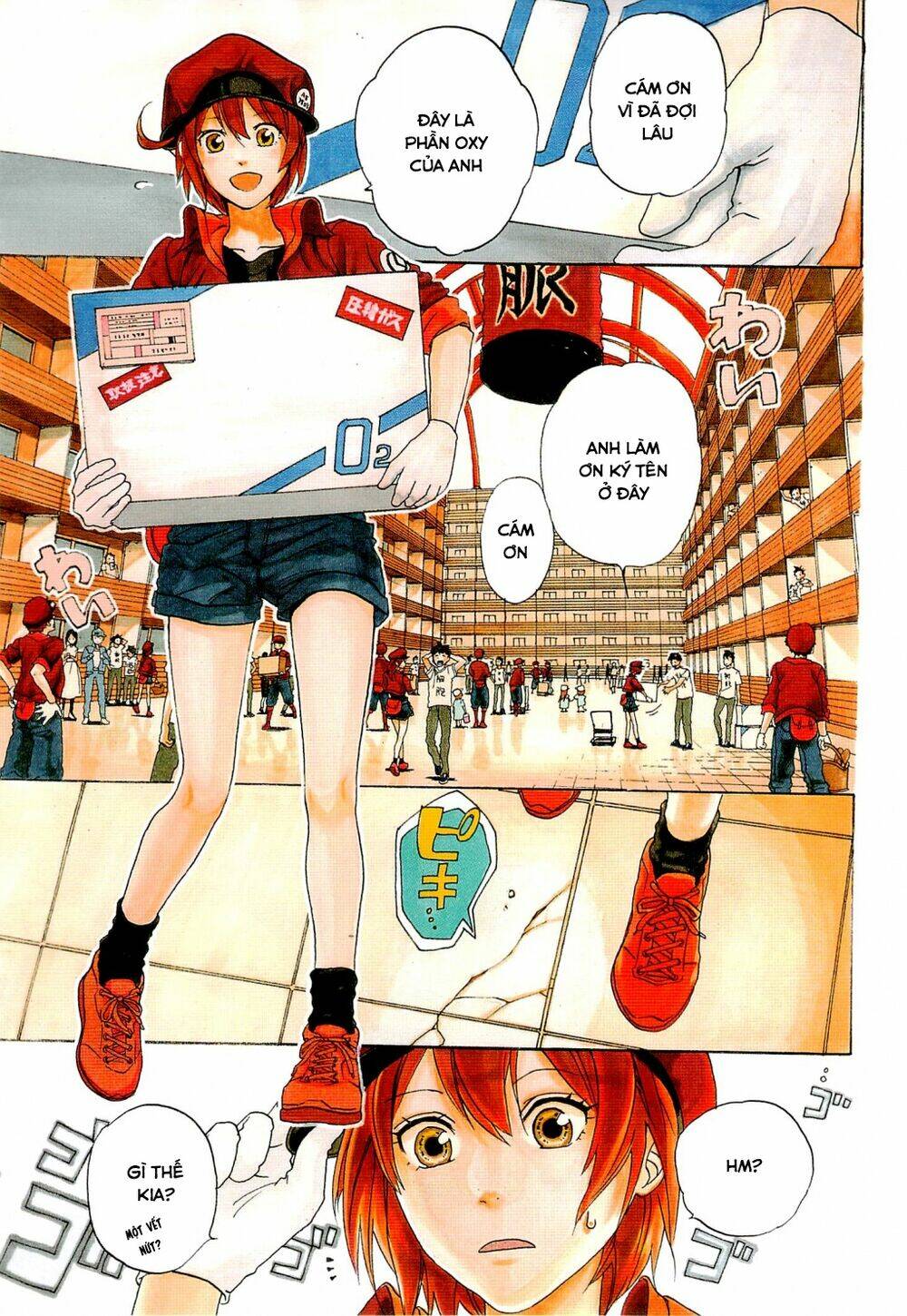 Hataraku Saibou!: Chapter 1