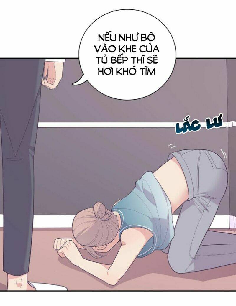 Vương Tử Thành Phố Và Công Chúa Amazon: Chapter 72