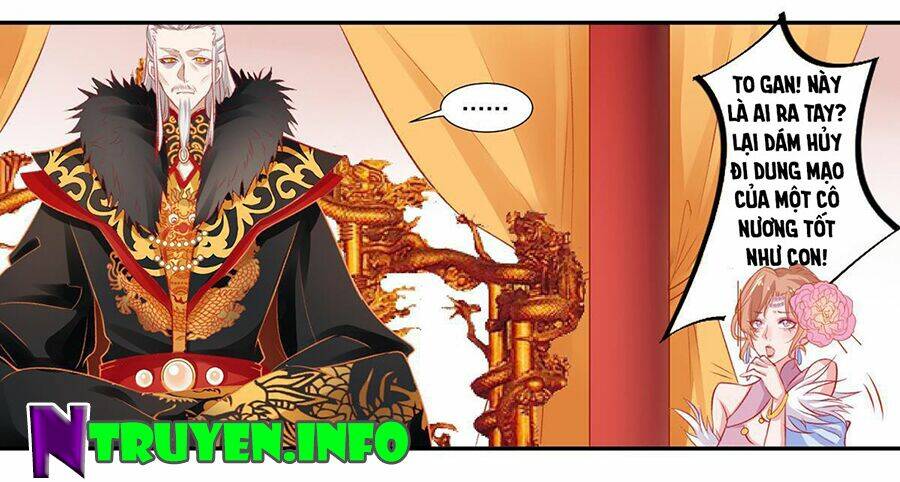 Hoàng Phi 9000 Tuổi: Chapter 11
