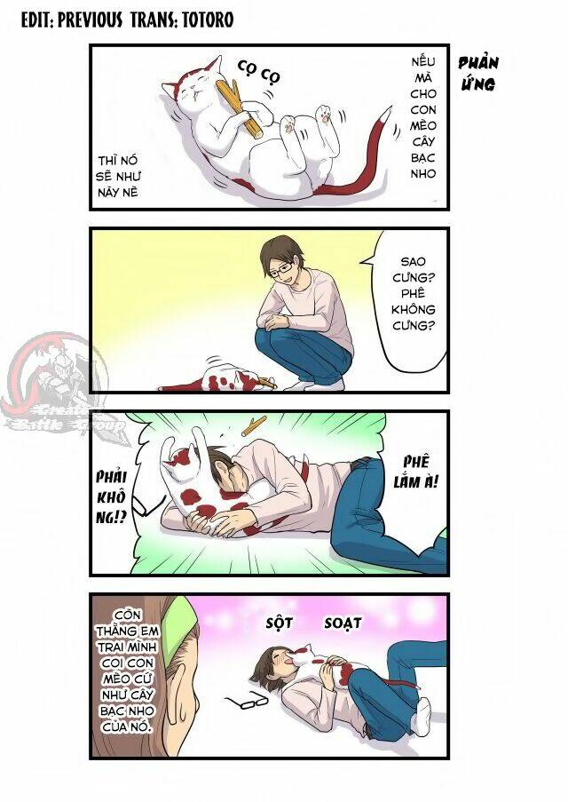 Cat is silver vine: Chapter 1