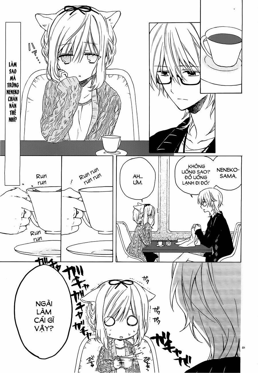 Kudamimi No Neko: Chapter 4