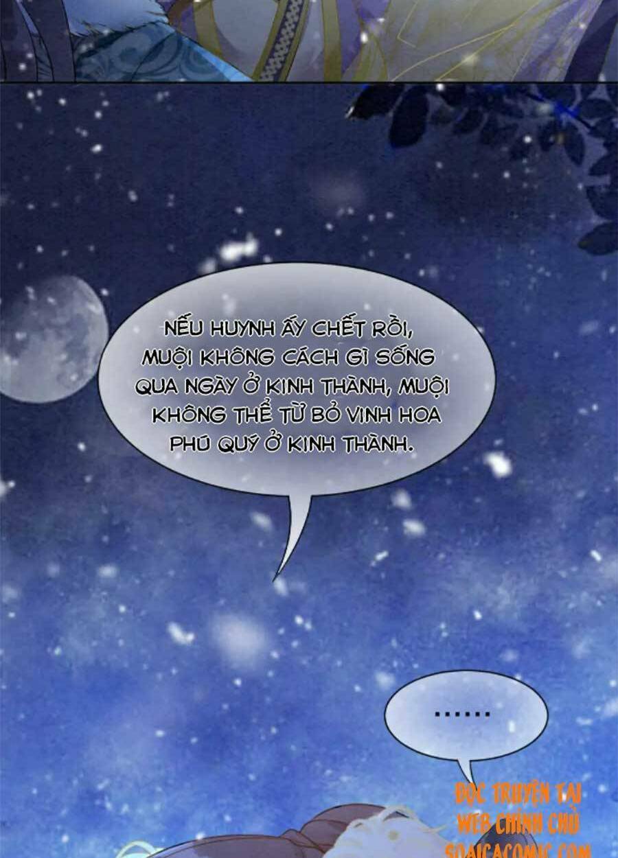 Xung Hỉ Vương Phi: Chapter 81