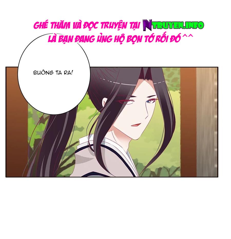 Thông Linh Phi: Chapter 568