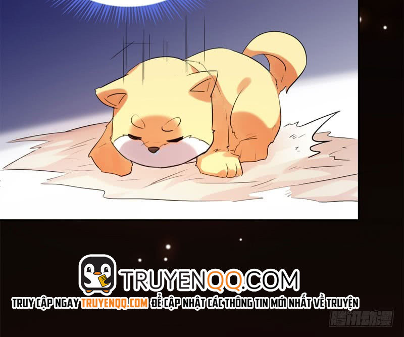 Lụ Đạn, Hôm Nay Lại Cũng Không Thể Biến Thành Người Được: Chapter 2