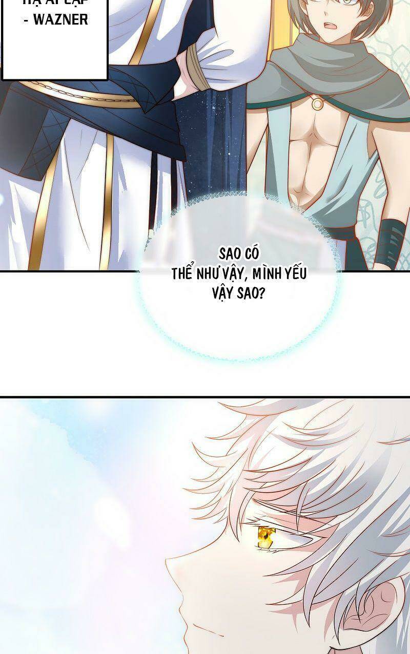 Sủng Hậu Của Vương: Chapter 71