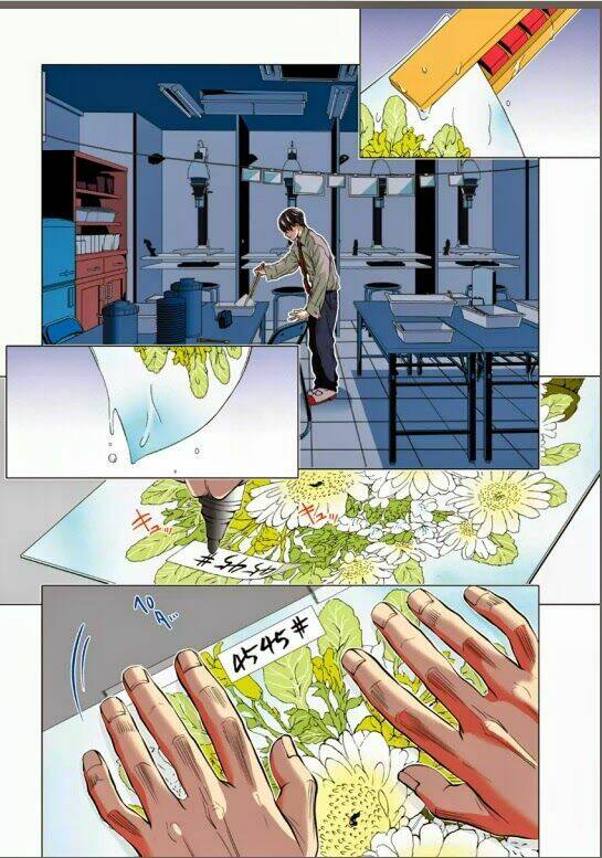 Minimum: Chapter 1