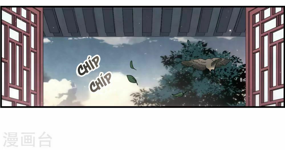 Mejaz - Nhân gian ngọc: Chapter 47