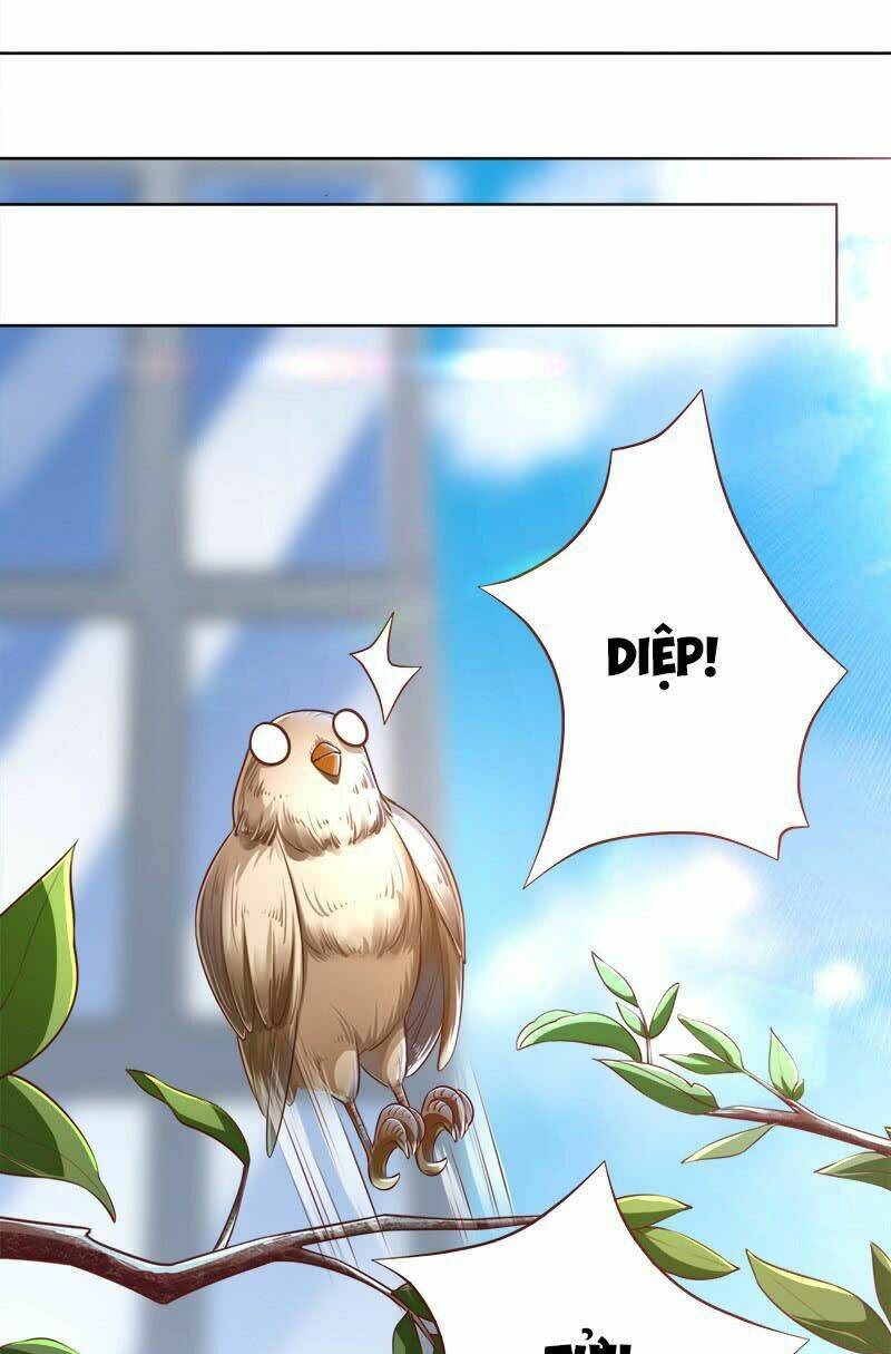 Nhà Có Vợ Xinh: Chapter 8