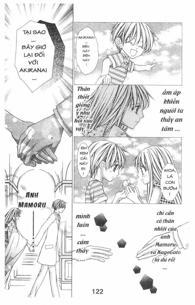 Trái Tim Kim Cương: Chapter 1