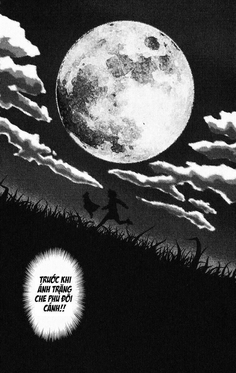 Lời Thì Thầm Từ Trái Tim: Chapter 5
