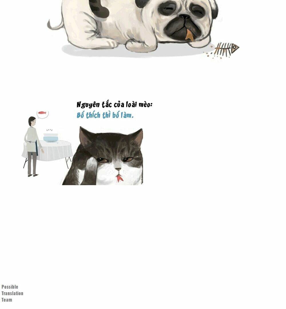 Biết Là Ghét Đấy, Nhưng Không Thể Buông Bỏ: Chapter 3