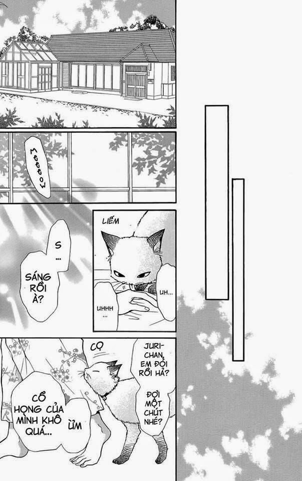 Sumika Sumire: Chapter 1