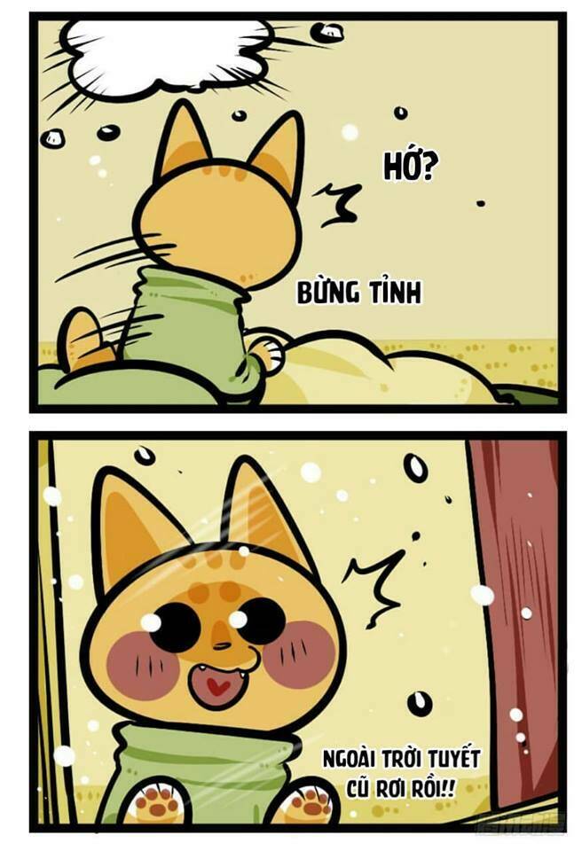 Đời Không Như Mình Tưởng: Chapter 26