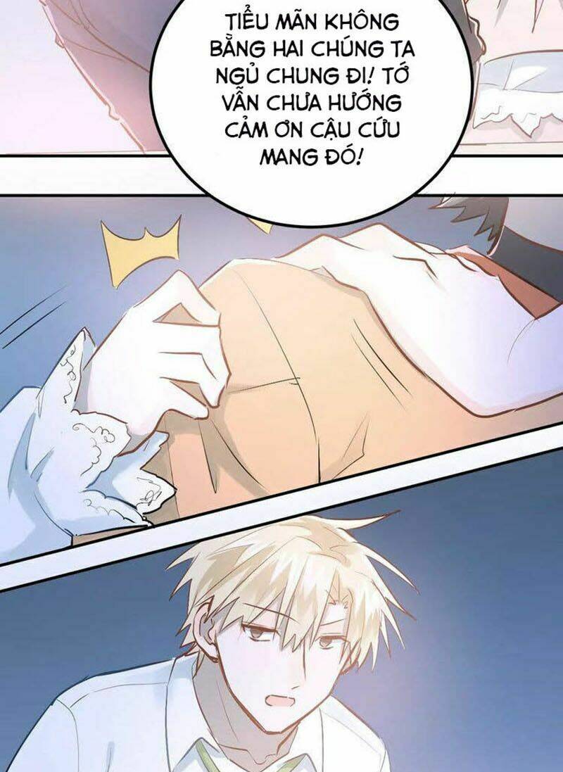 Đầu Gấu Biết Yêu: Chapter 64