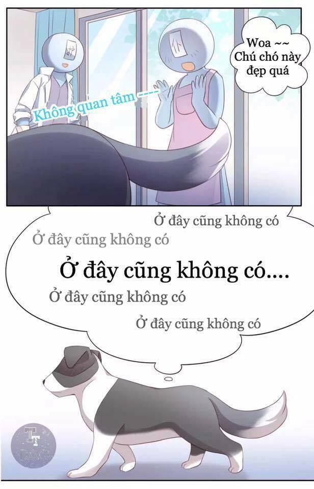 Dưới Móng Vuốt Mèo: Chapter 17