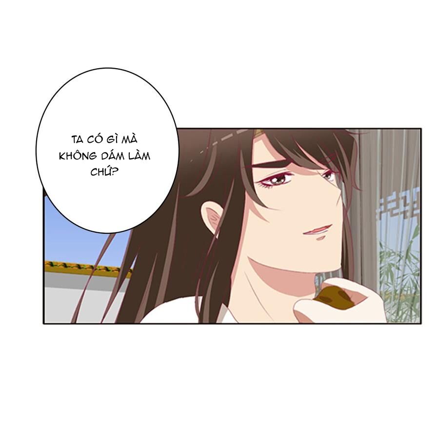 Thông Linh Phi: Chapter 505