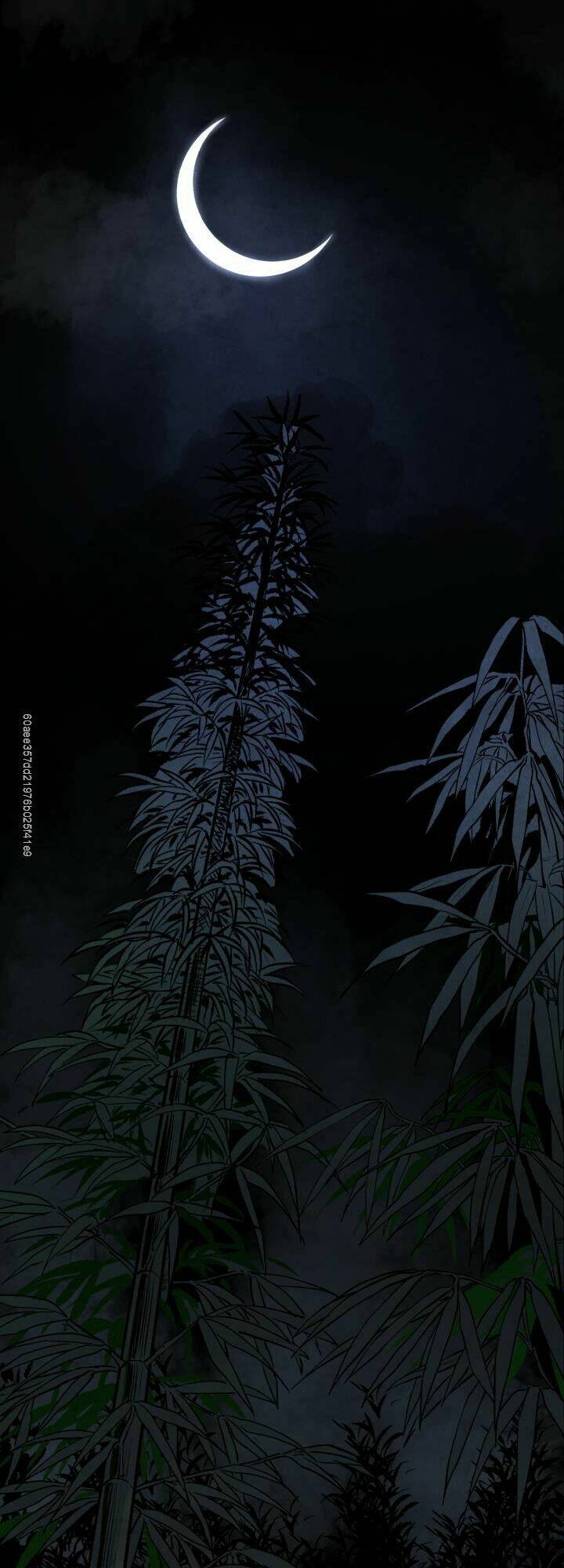 Phụng Tiên Trọng Sinh Ký: Chapter 19