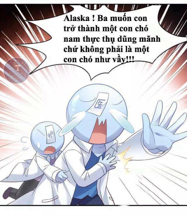 Dưới Móng Vuốt Mèo: Chapter 16