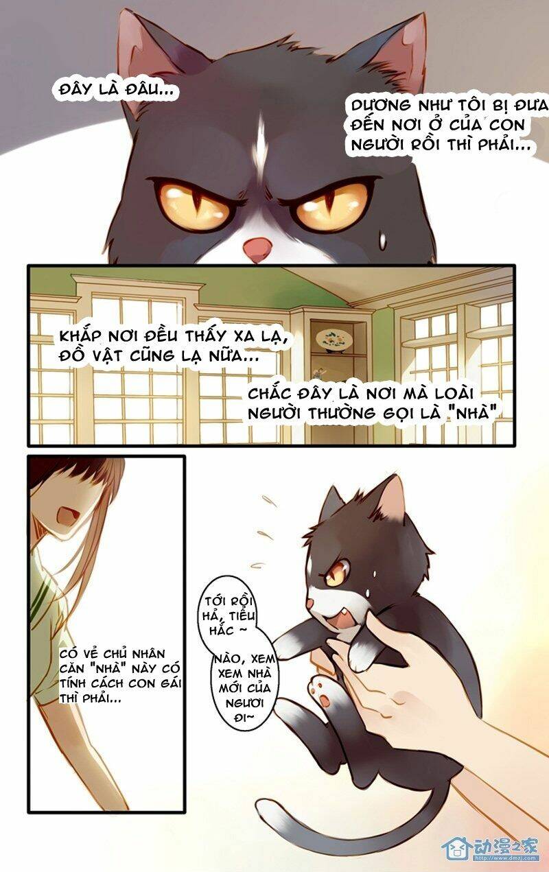 Hằng Mộng Nam Thần: Chapter 22