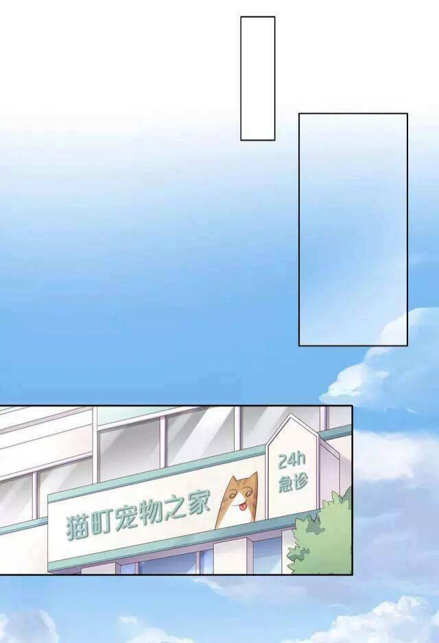 Dưới Móng Vuốt Mèo: Chapter 17