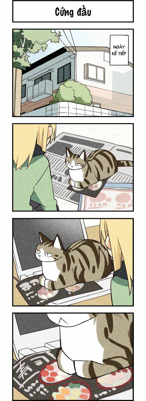 We Are Cat: Chapter 19