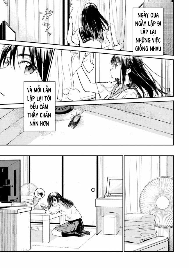 Giá Như Có Thể Gặp Lại Anh Trên Ngọn Đồi Trải Đầy Hoa Nở Ấy: Chapter 1
