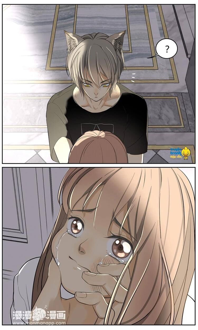 Cứu mạng ! Loài mèo thống trị thế giới rồi !: Chapter 7
