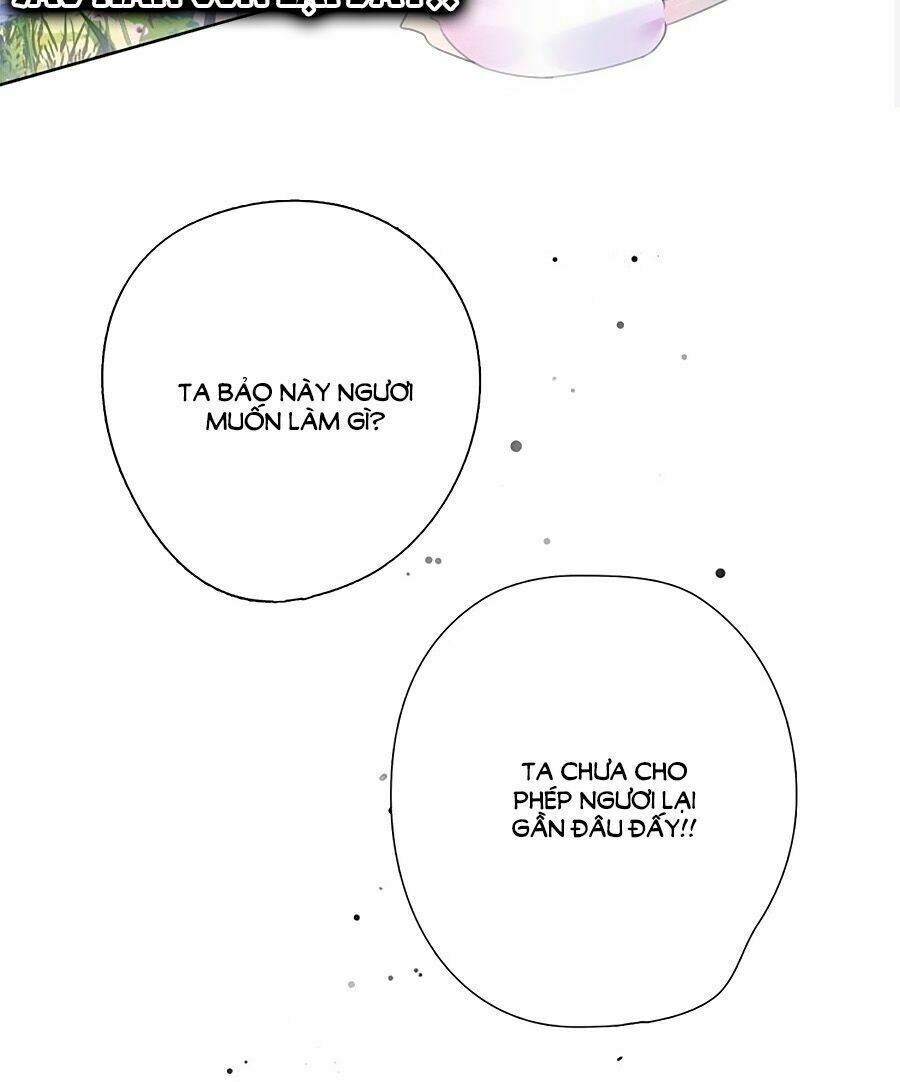 Kiều Nhi Hư Quá Nha: Chapter 1